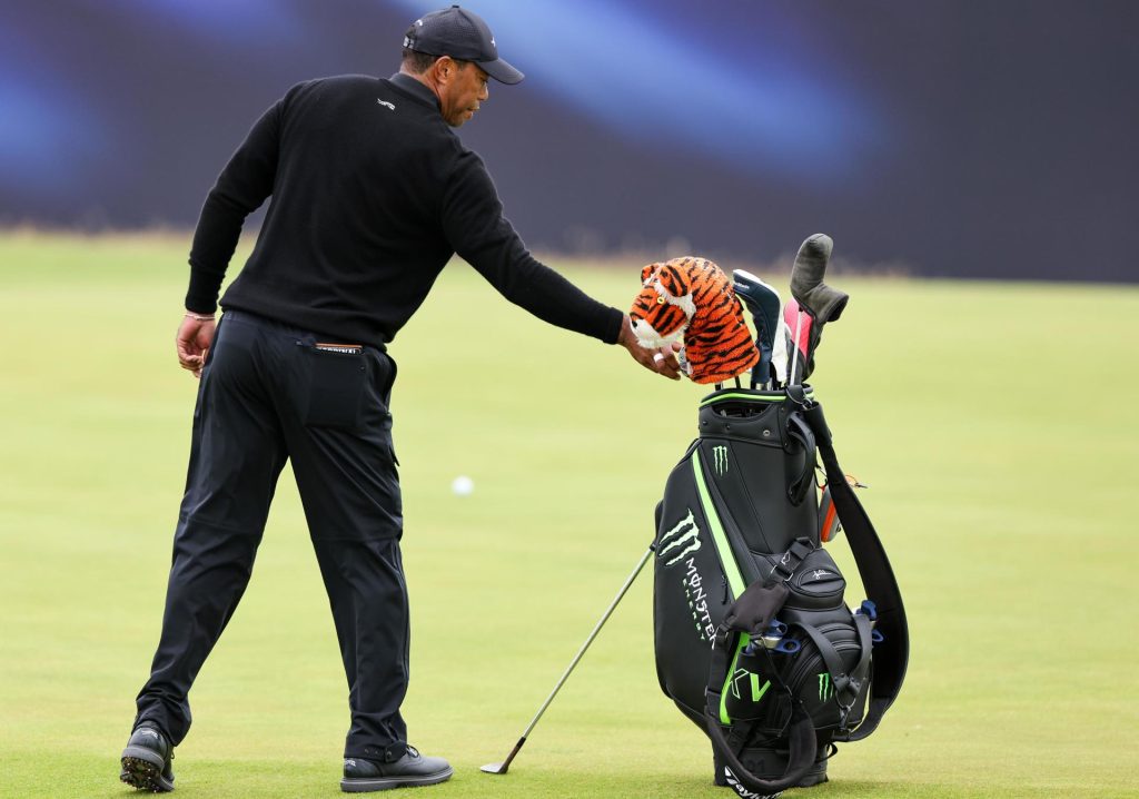 Tiger Woods anunció que se aparta temporalmente del golf para recibir tratamiento y centrarse en su salud. EFE/EPA/ROBERT PERRY